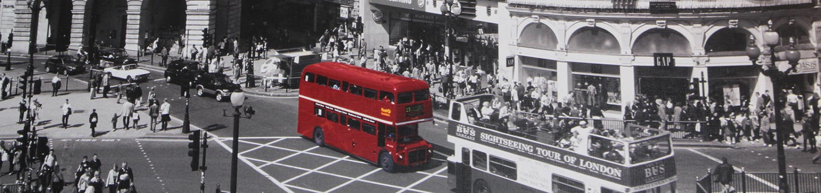 delirium opening 2022 back